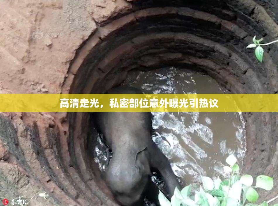 高清走光，私密部位意外曝光引热议