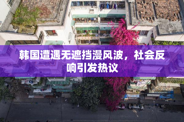 韩国遭遇无遮挡漫风波，社会反响引发热议