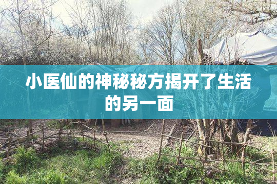 小医仙的神秘秘方揭开了生活的另一面