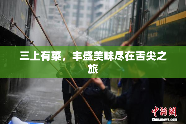 三上有菜，丰盛美味尽在舌尖之旅