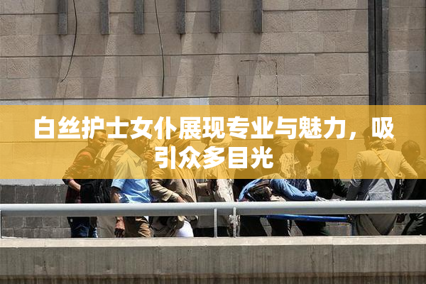 白丝护士女仆展现专业与魅力，吸引众多目光