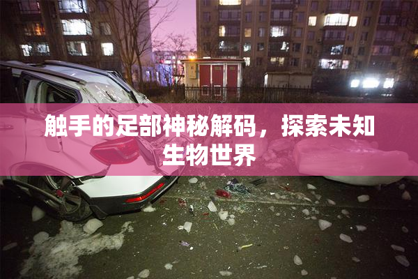 触手的足部神秘解码，探索未知生物世界