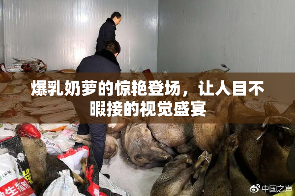 爆乳奶萝的惊艳登场，让人目不暇接的视觉盛宴