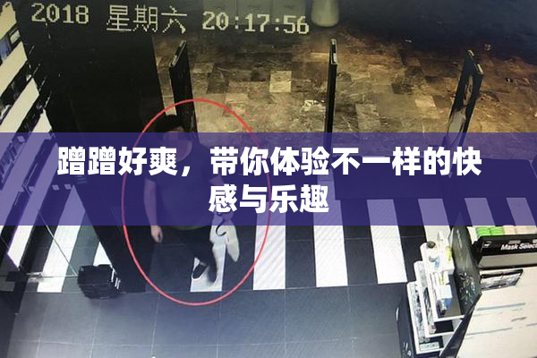 蹭蹭好爽，带你体验不一样的快感与乐趣