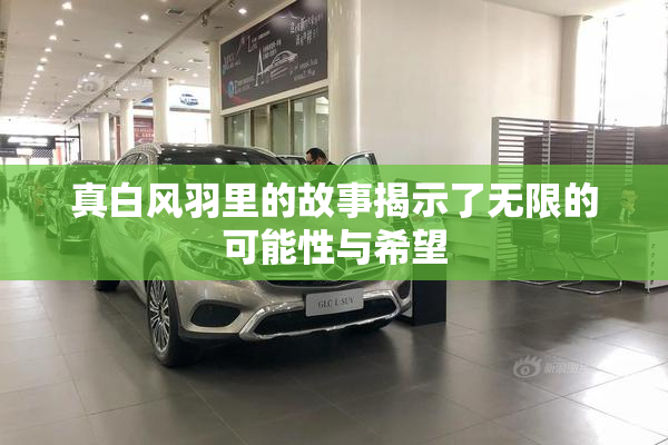 真白风羽里的故事揭示了无限的可能性与希望