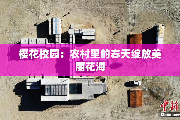 樱花校园：农村里的春天绽放美丽花海