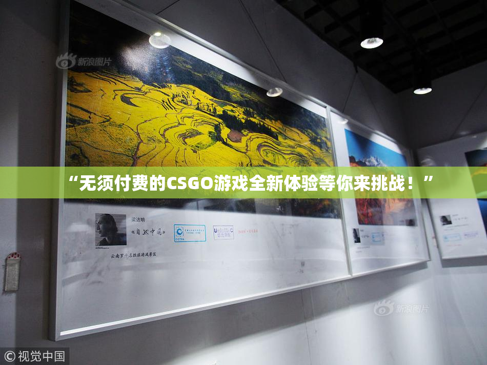“无须付费的CSGO游戏全新体验等你来挑战！”