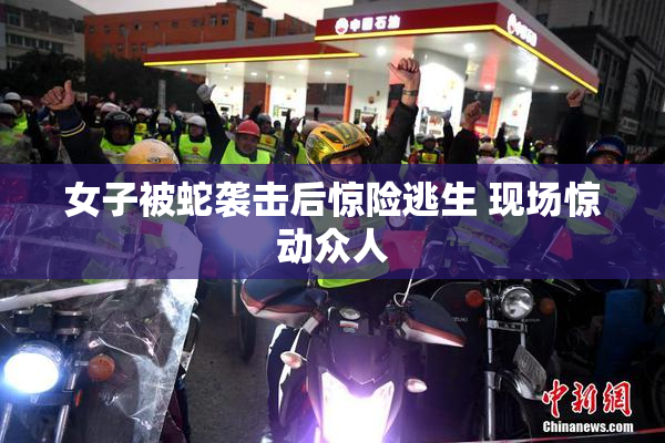 女子被蛇袭击后惊险逃生 现场惊动众人