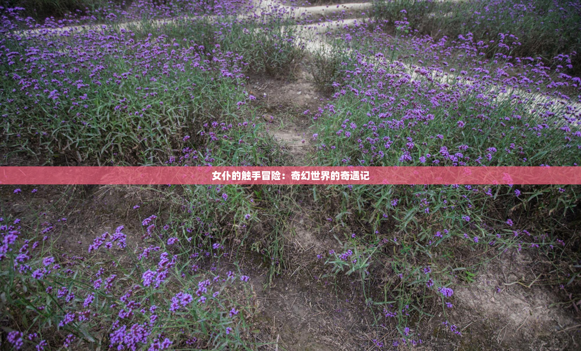 女仆的触手冒险：奇幻世界的奇遇记