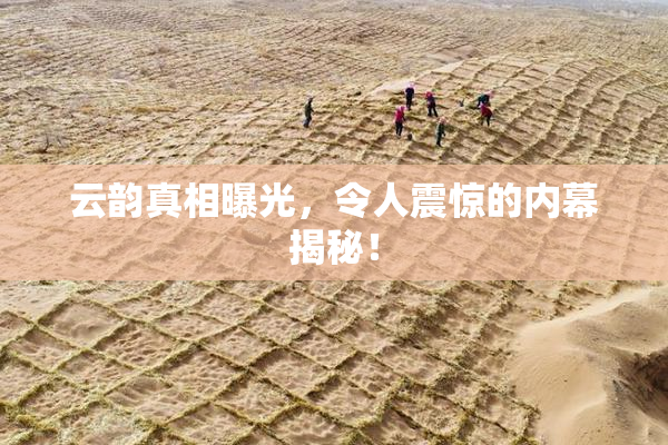 云韵真相曝光，令人震惊的内幕揭秘！
