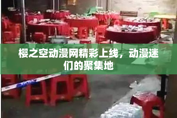 樱之空动漫网精彩上线，动漫迷们的聚集地