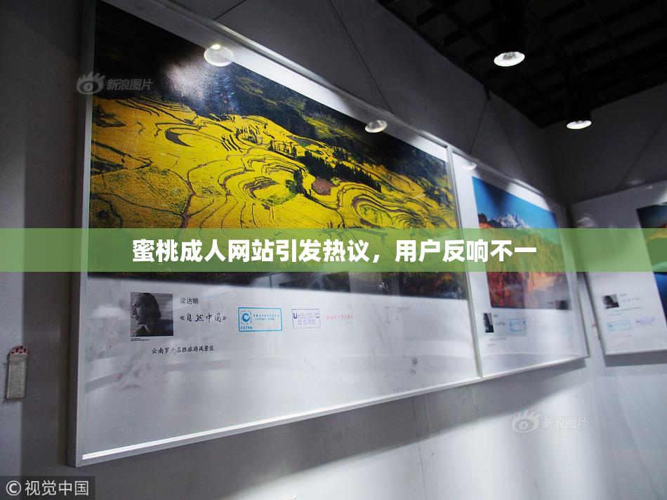 蜜桃成人网站引发热议，用户反响不一