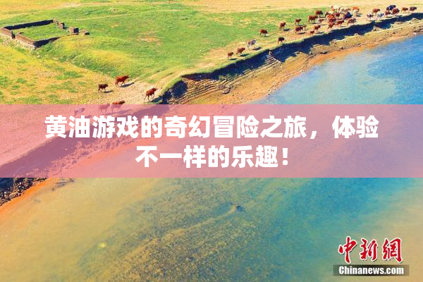 黄油游戏的奇幻冒险之旅，体验不一样的乐趣！