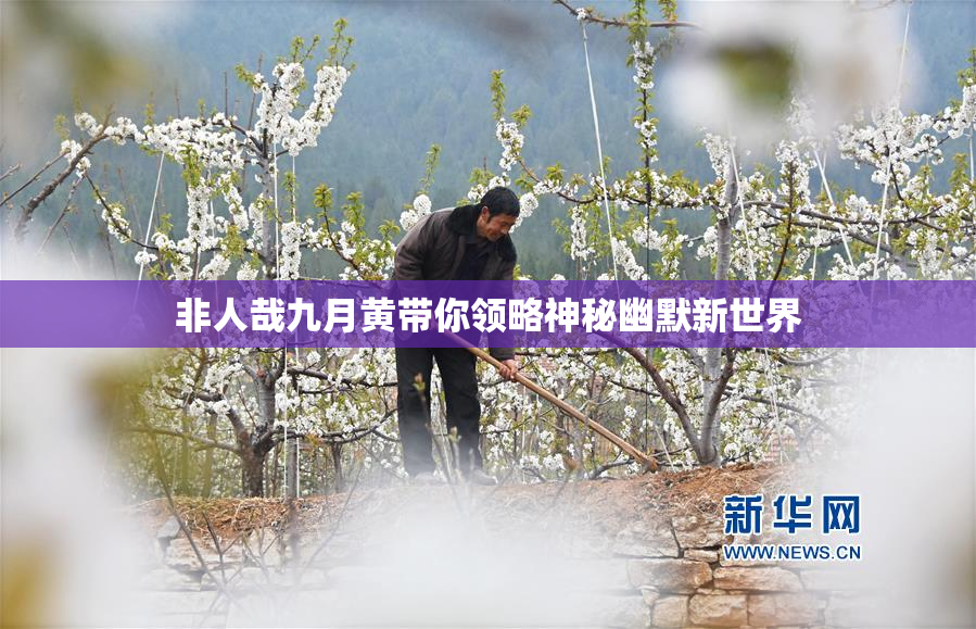 非人哉九月黄带你领略神秘幽默新世界