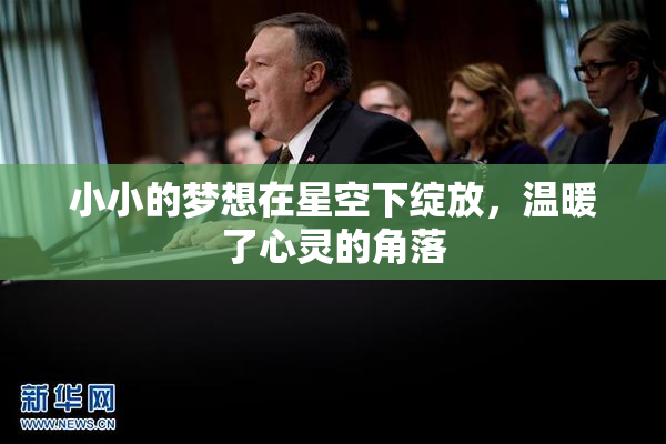 小小的梦想在星空下绽放，温暖了心灵的角落