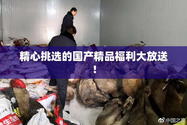 精心挑选的国产精品福利大放送！