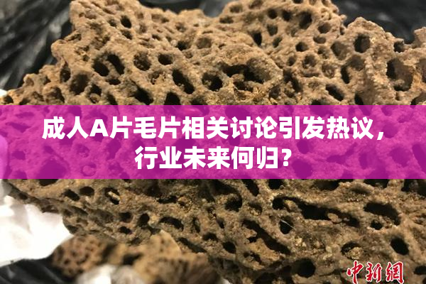 成人A片毛片相关讨论引发热议，行业未来何归？