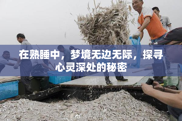 在熟睡中，梦境无边无际，探寻心灵深处的秘密