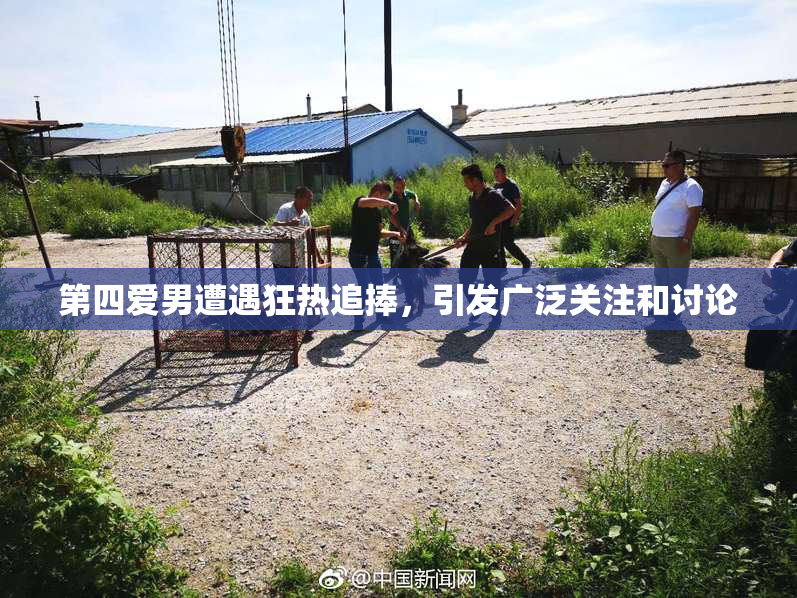 第四爱男遭遇狂热追捧，引发广泛关注和讨论