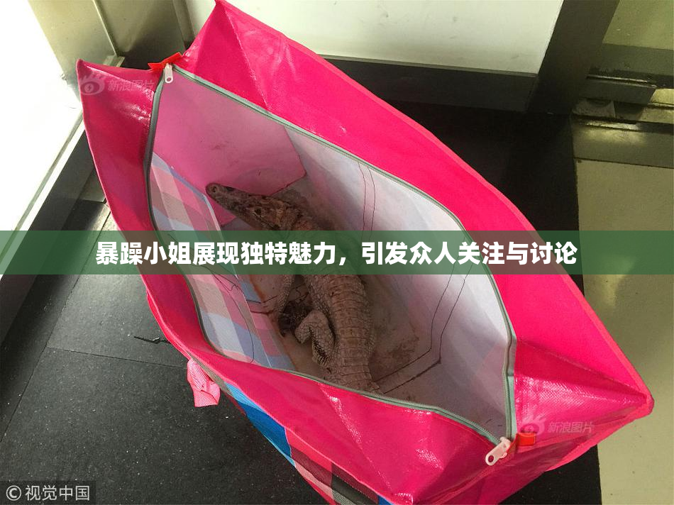 暴躁小姐展现独特魅力，引发众人关注与讨论