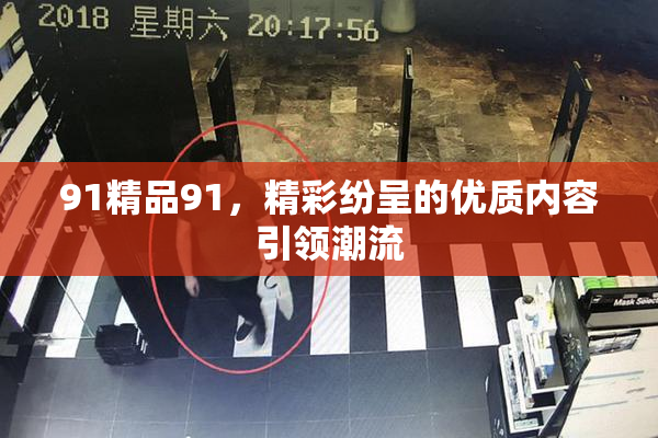 91精品91，精彩纷呈的优质内容引领潮流
