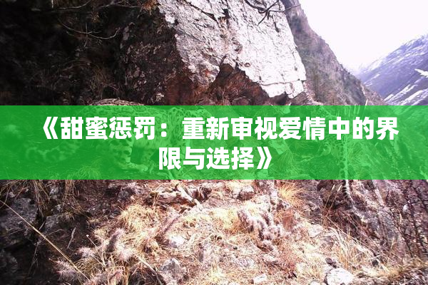 《甜蜜惩罚：重新审视爱情中的界限与选择》