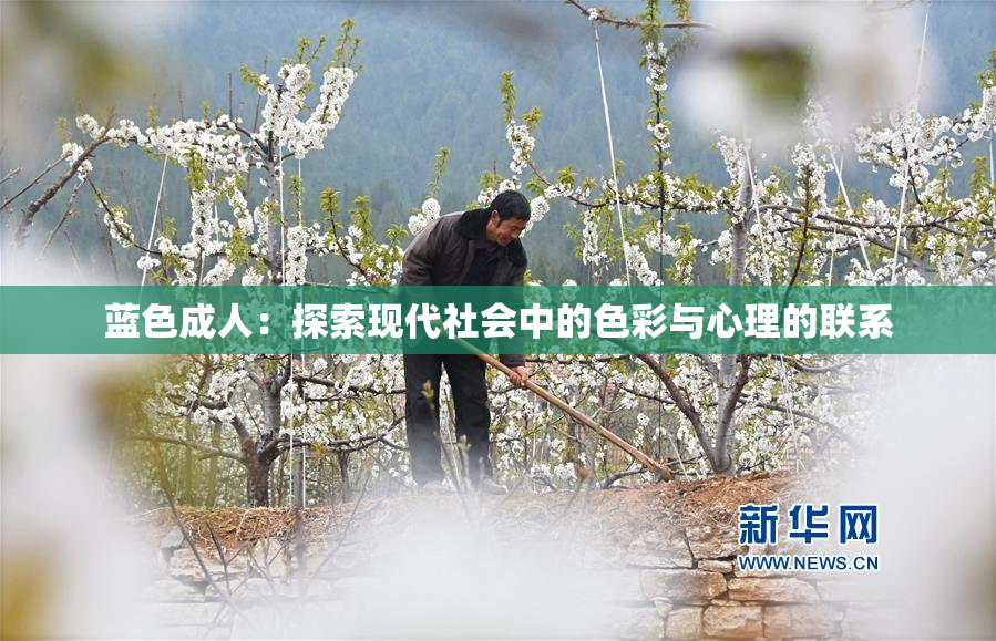 蓝色成人：探索现代社会中的色彩与心理的联系