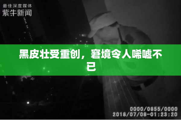 黑皮壮受重创，窘境令人唏嘘不已