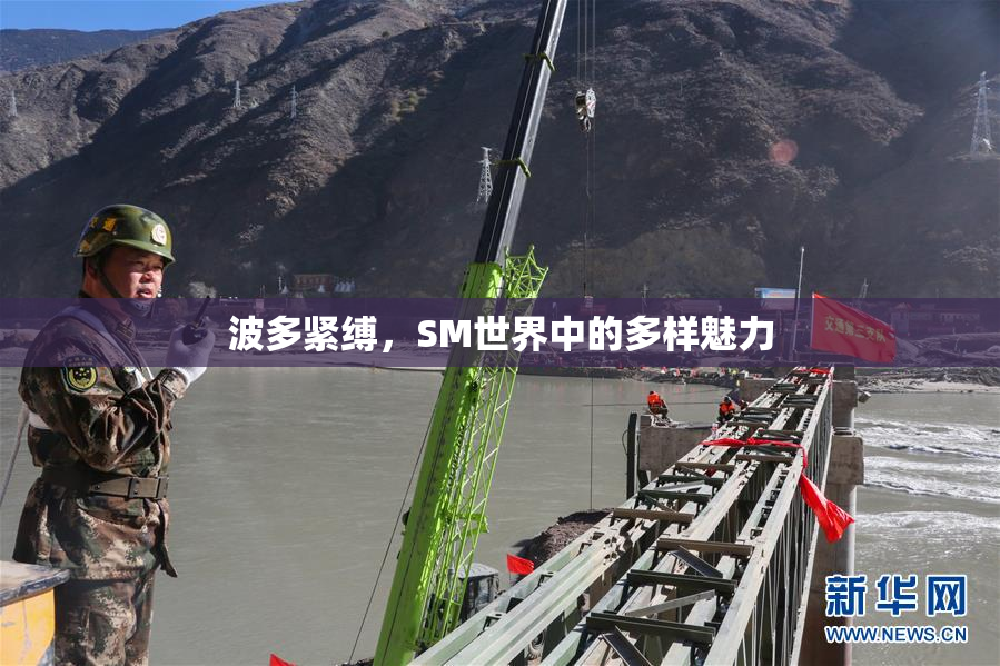 波多紧缚，SM世界中的多样魅力