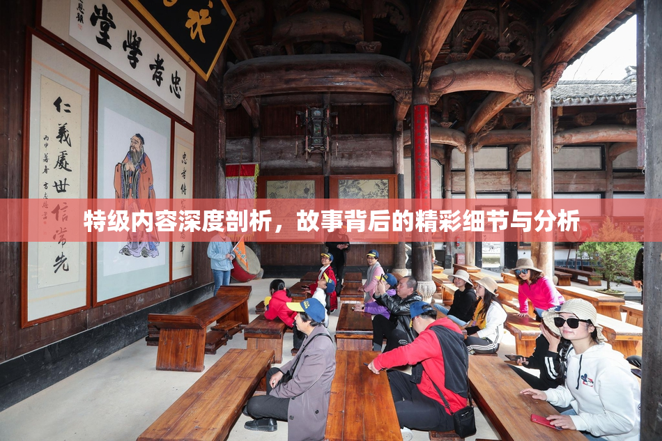 特级内容深度剖析，故事背后的精彩细节与分析