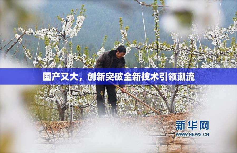 国产又大，创新突破全新技术引领潮流