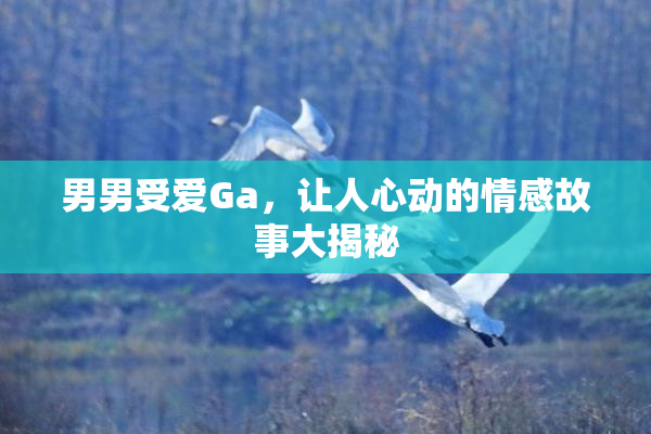 男男受爱Ga，让人心动的情感故事大揭秘