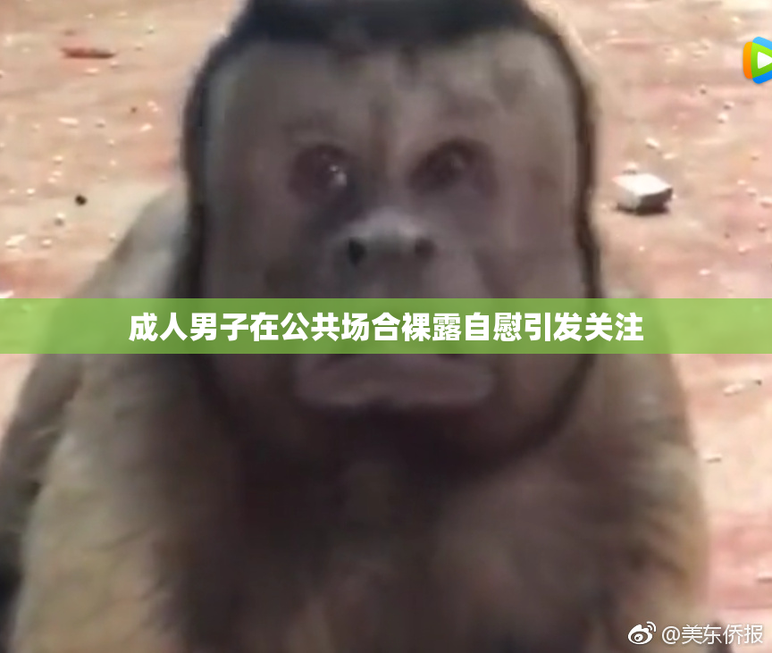成人男子在公共场合裸露自慰引发关注