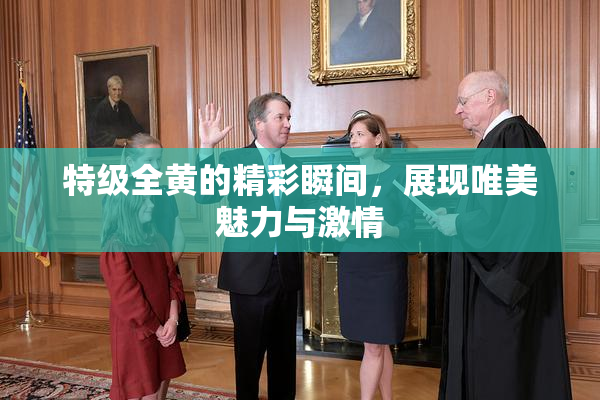 特级全黄的精彩瞬间，展现唯美魅力与激情