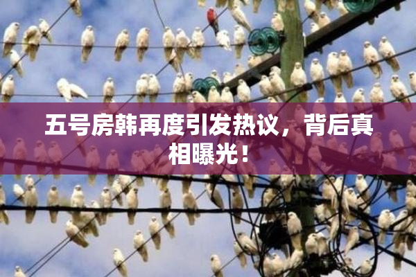 五号房韩再度引发热议，背后真相曝光！