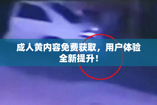 成人黄内容免费获取，用户体验全新提升！