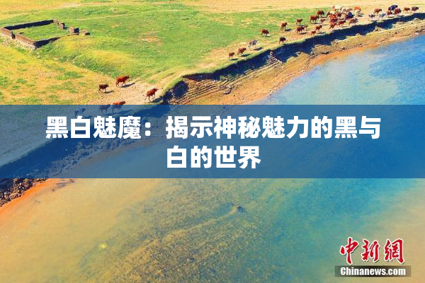 黑白魅魔：揭示神秘魅力的黑与白的世界