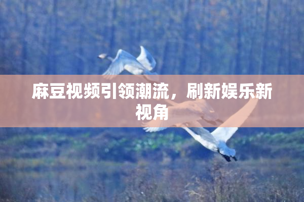 麻豆视频引领潮流，刷新娱乐新视角