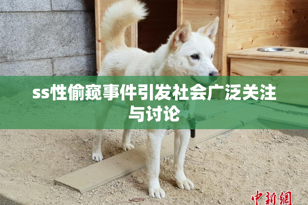 ss性偷窥事件引发社会广泛关注与讨论