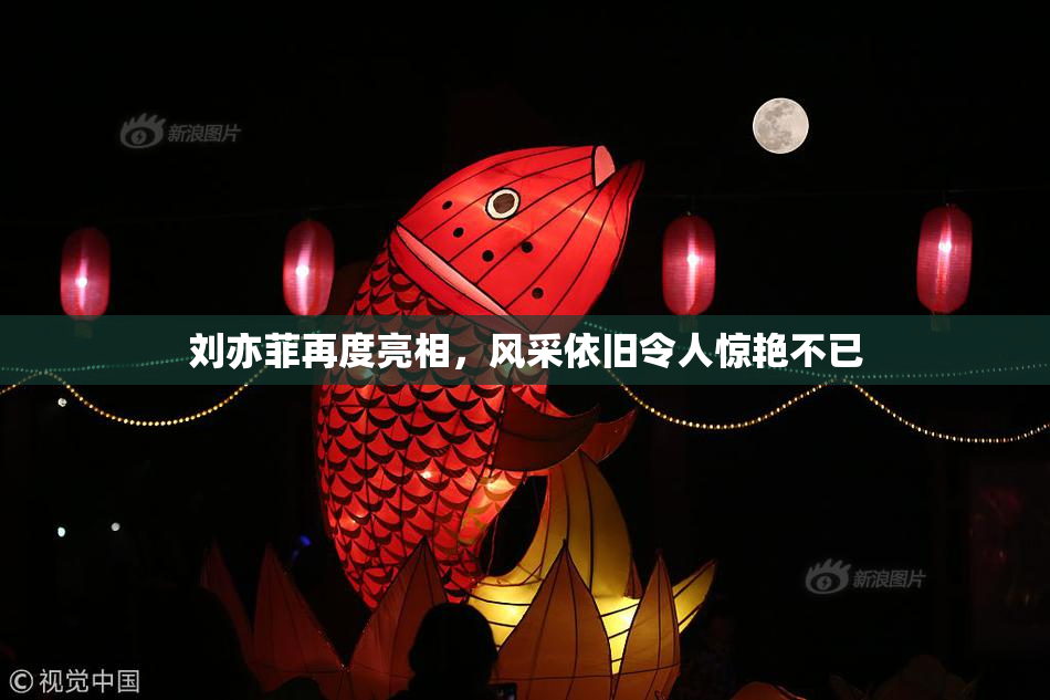 刘亦菲再度亮相，风采依旧令人惊艳不已