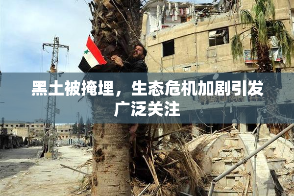黑土被掩埋，生态危机加剧引发广泛关注