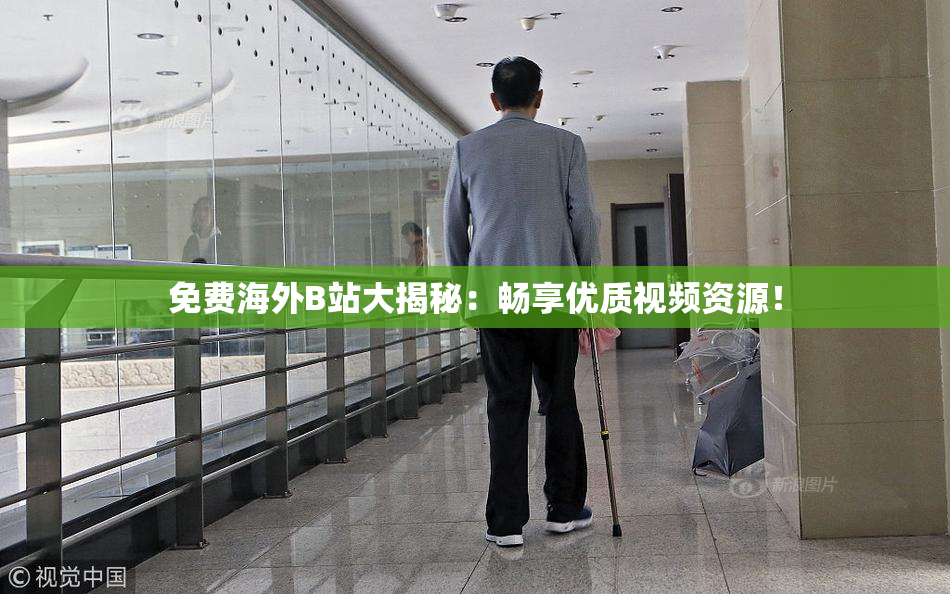 免费海外B站大揭秘：畅享优质视频资源！