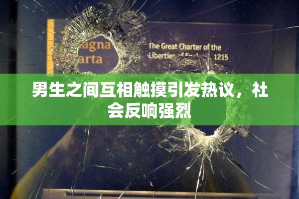 男生之间互相触摸引发热议，社会反响强烈