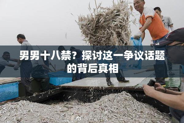 男男十八禁？探讨这一争议话题的背后真相