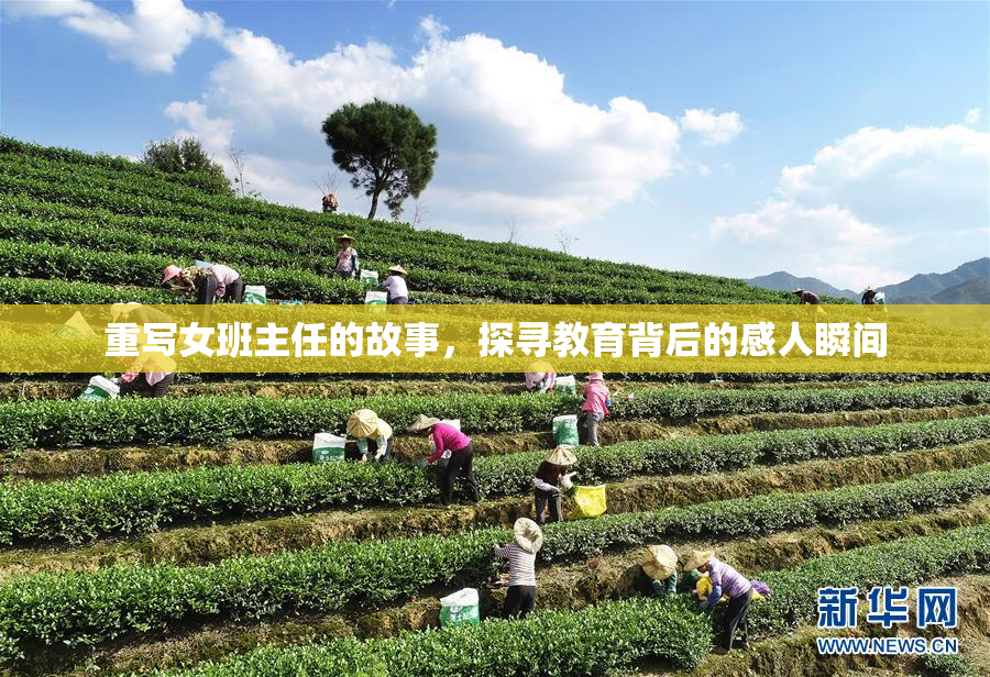 重写女班主任的故事，探寻教育背后的感人瞬间