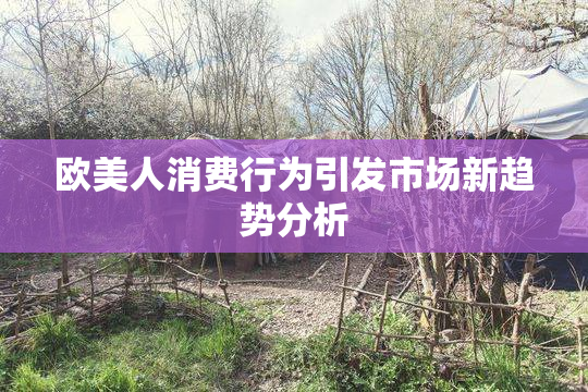 欧美人消费行为引发市场新趋势分析