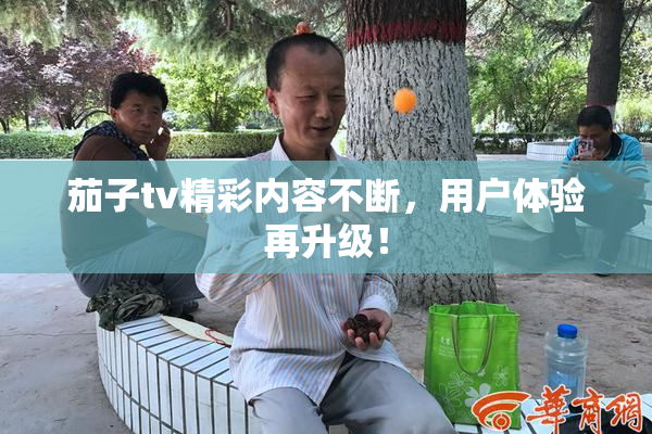 茄子tv精彩内容不断，用户体验再升级！