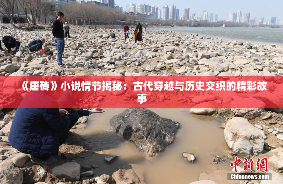 《唐砖》小说情节揭秘：古代穿越与历史交织的精彩故事