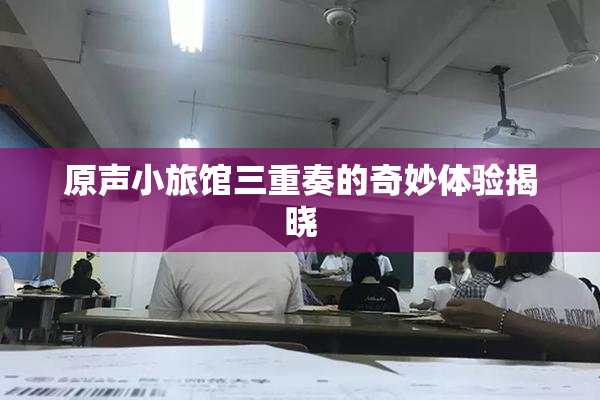 原声小旅馆三重奏的奇妙体验揭晓