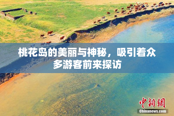 桃花岛的美丽与神秘，吸引着众多游客前来探访